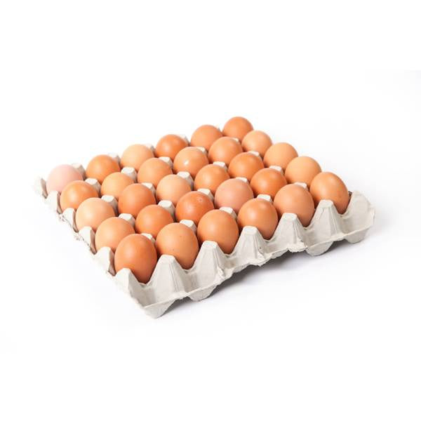 Fresh Farm Eggs (Northampton)